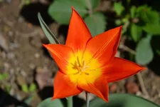 DSC_0039.webp