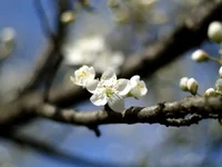 P4180622.webp
