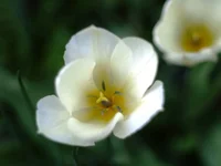 P4180640.webp