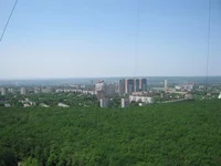 img 018.webp