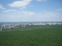 img 024.webp