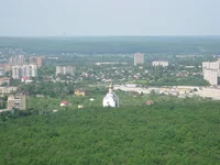 img 010.webp