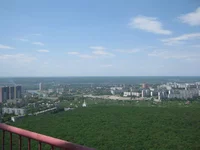 img 025.webp