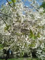 IMG_20140427_123649.webp