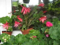IMG_7637.webp
