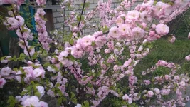 WP_20140427_002.webp