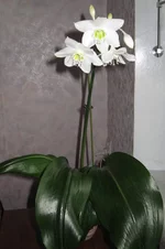 IMG_7162.webp