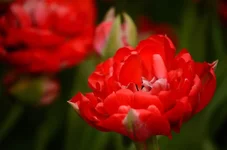 0205.webp