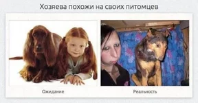 syEOiwqlBL0.webp
