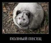 eol7l7o0wrfp.webp
