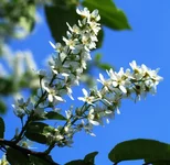 P4280363.webp