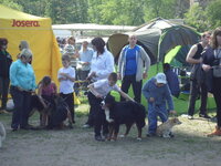 SAM_0404.jpg