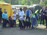 SAM_0404.webp