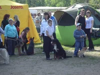 SAM_0406.webp