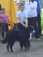 SAM_0407.webp