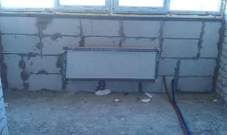 IMAG0165.webp