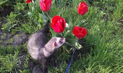 IMAG0795.jpg