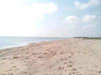 IMG_20140502_093302.jpg