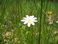 100_7729.webp
