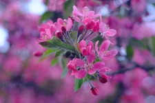 DSCF1585.webp