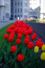 DSCF1509.webp