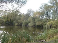 рисунок2.webp