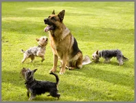 0_12589_b21ea973_XL.webp