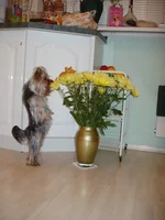5bb7eb19de40.webp