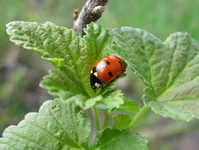 DSCN21870001.webp