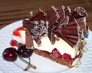 .webp