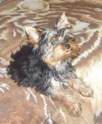 DSCF3075.webp