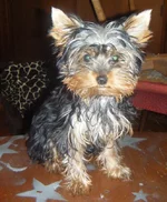 DSCF3072.webp