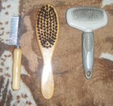 DSCF3078.JPG