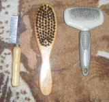 DSCF3078.webp