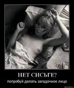 dph5o6kj615h.webp