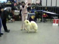 SP_A0116.webp