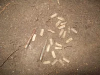 pic8.jpg