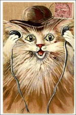 nov16_cat16a.webp