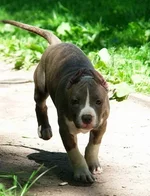 367_other1.webp