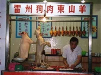 dog.webp