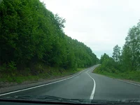 34243.webp