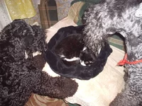 PA241078.webp