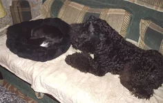 PA241079.webp