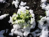 !IMG_2013.webp