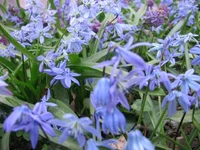 !IMG_4928.webp