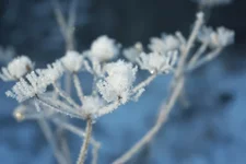 IMGP1034.webp