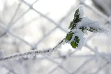 IMGP1052.webp