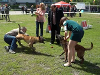 IMD_6334w-05.09.webp