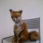 eee7f4ccf756.webp eee7f4ccf756.webp