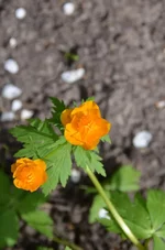 DSC_1008.webp DSC_1008.webp
